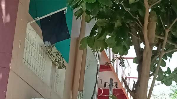 The people of Puducherry raised a black flag in their homes denouncing the central government The people of Puducherry raised a black flag in their homes denouncing the central government