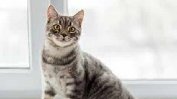 என்ன காரணம் 