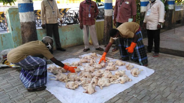 Coronavirus Lockdown: All Mutton Shops closed in TamilNadu 