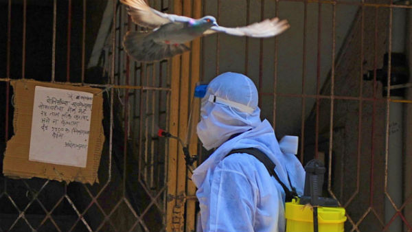 டெஸ்ட் முடிவுகள் 