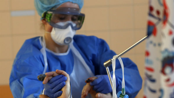 மிக எளிதாக தாக்கும் 