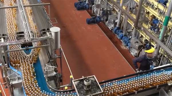 75 சதவீத ஊழியர்கள் 75 சதவீத ஊழியர்கள்