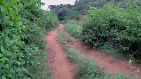 Coronavirus: Police are searching for mysterious individuals who have been brewing booze 