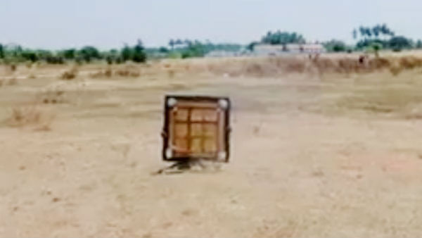 வைரல் வீடியோ 