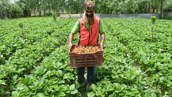  அன்றே சொன்னார்கள்