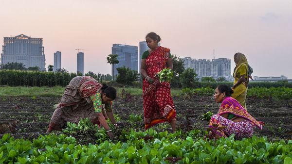 விவசாய வேலையும் முடக்கம் 