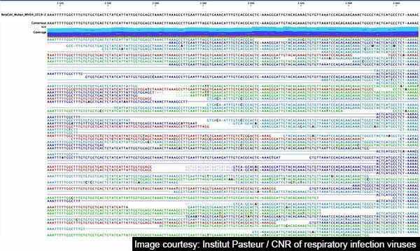 Genome sequence of the 2019 ncov coronavirus