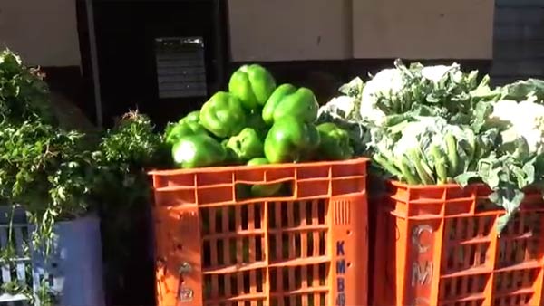 Balakrishna Reddy and AIADMK cadres distribute vegetables in Hosur 