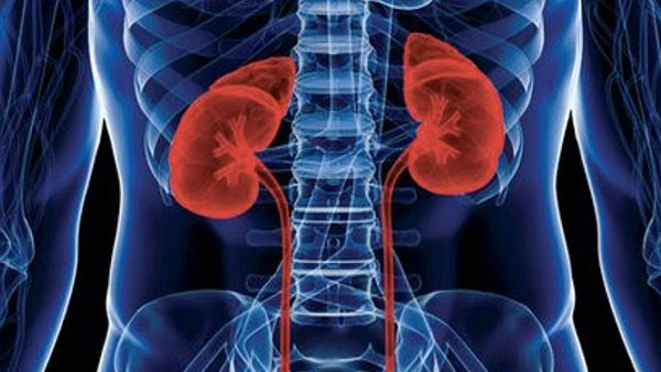 செயலிழப்பு 