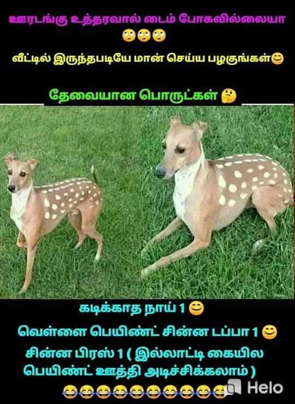 A meme tells how to change dogs as deers 