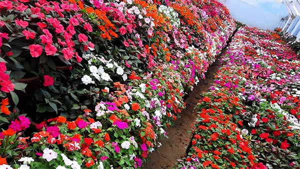 பிப்ரவரி மாதம் 