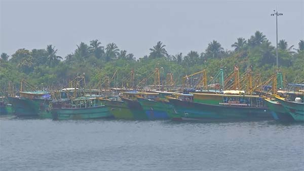 இனப்பெருக்க காலம் இனப்பெருக்க காலம்