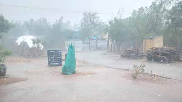 TN Dist.s got Summer Rain 