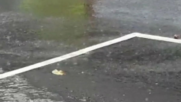 Heavy rain lashes Bengaluru from morning 