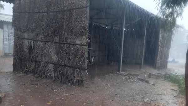 TN Dist.s got Summer Rain 