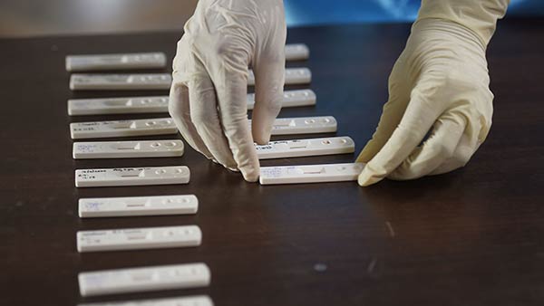 திருப்பியனுப்புதல் 