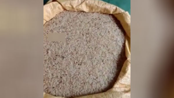 புழுக்கள் 