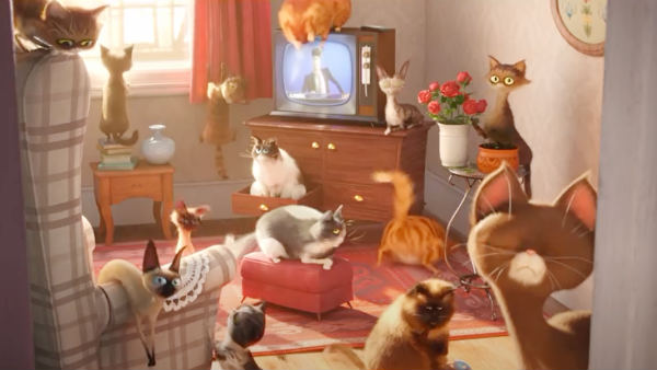  நாய்கள் பார்க் 