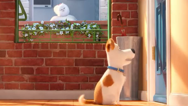  பெட்ஸ் உலகம் 