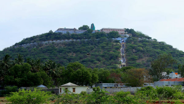 கொரோனா நோய் எதிர்ப்பு சக்தி