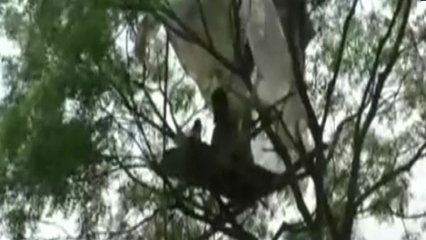 வகுப்பு 