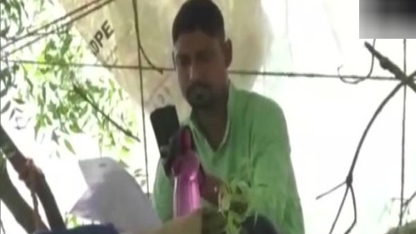 மரத்தின் உச்சி 