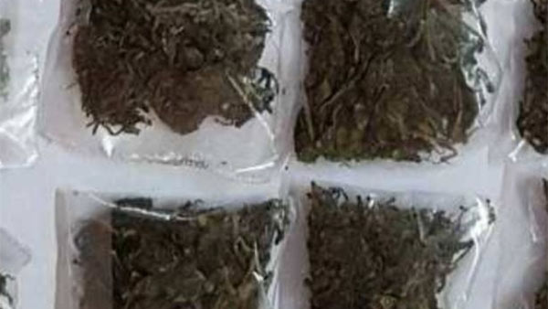 கஞ்சாவுக்கு மாறும் இளைஞர்கள் 