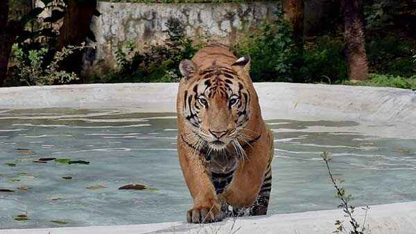 20 பேர் கொண்ட குழு 20 பேர் கொண்ட குழு