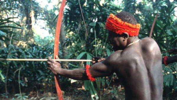 அதிக வாய்ப்பு 