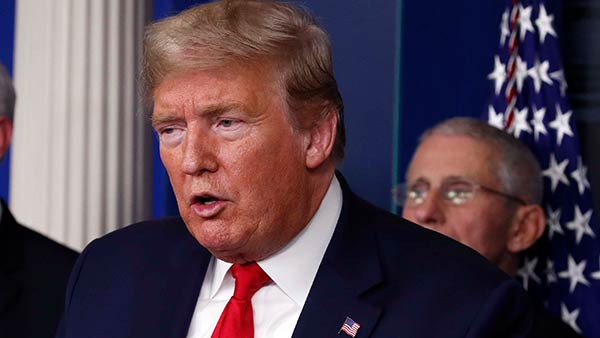 இந்தியாவிற்கு நன்றி 