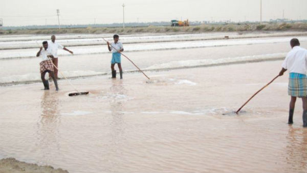 Salt production in Marakana area has been halted due to coronavirus threat 