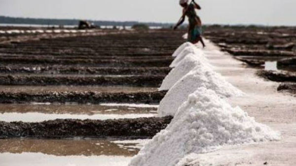 Salt production in Marakana area has been halted due to coronavirus threat 