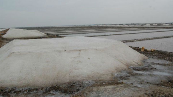 Salt production in Marakana area has been halted due to coronavirus threat 