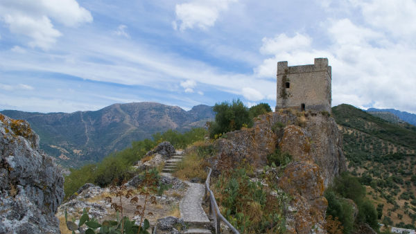வீட்டுக்கே வரும் பொருட்கள்