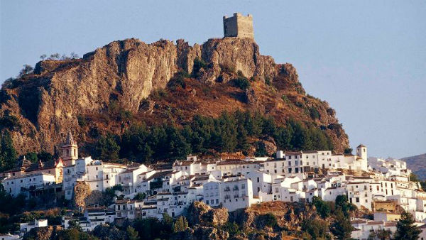 தனிமையில் ஜகாரா