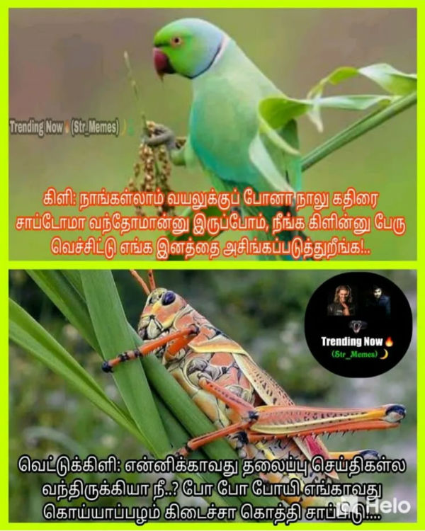 இனம் 