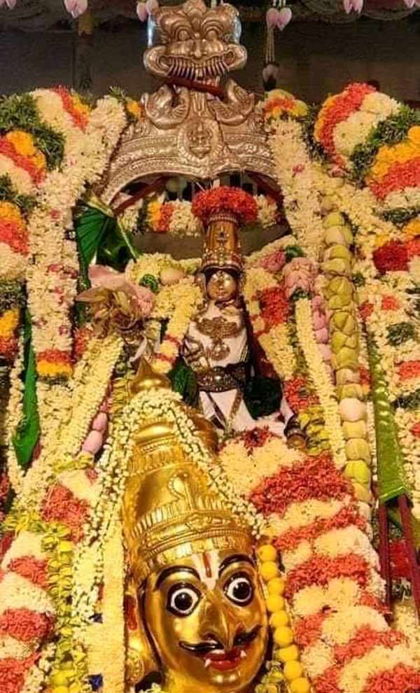 சாபம் கொடுத்த முனிவர்