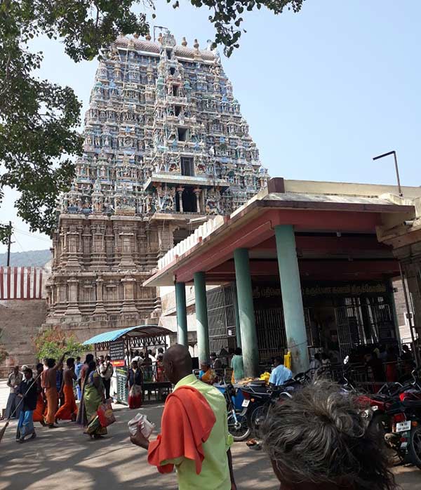 மண்டூக முனிவருக்கு சாப விமோசனம்