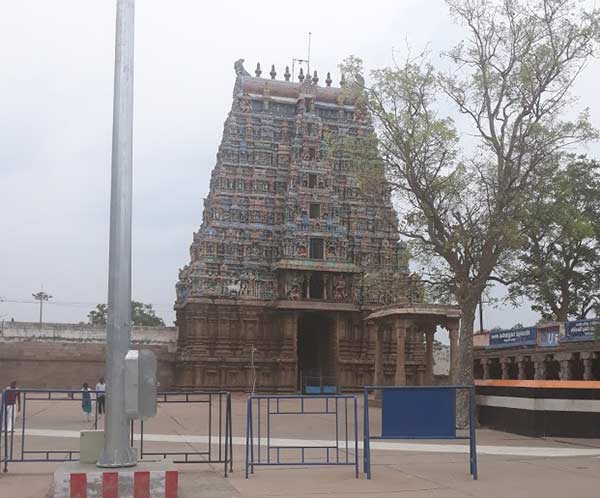 தியானத்தில் இருந்த முனிவர் 