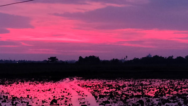 After Cyclone Amphan Passes, Bhubaneswar Sky Turned Pink And Purple 