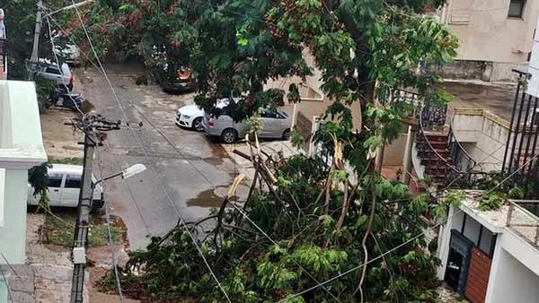 ஜன்னல்கள் 