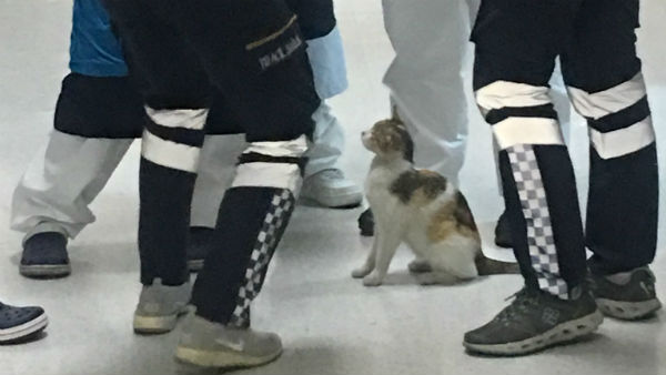  மனித நேயம்