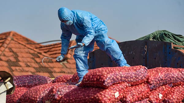 சென்னை பாதிக்க காரணம் 