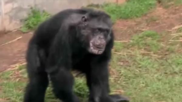 விரைவில் ஆய்வு 