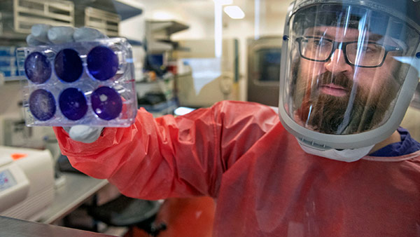 செல்கள் எப்படி 