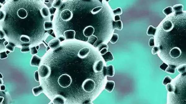 வடபழனி கோவில் வாசலில் கொரோனா 