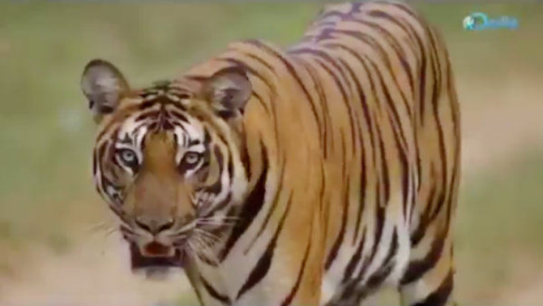  லாக்டவுனில் அருமை 