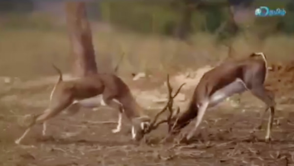  அதில் ஒன்றுதான் இது 