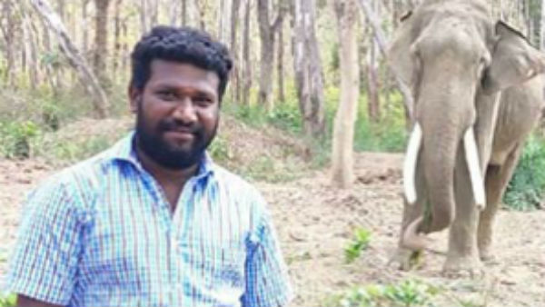 பாகன்கள் 