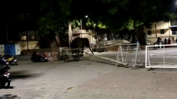  Thiruparankundram Subramanya Swamy Temple elephant killed a Pagan today 